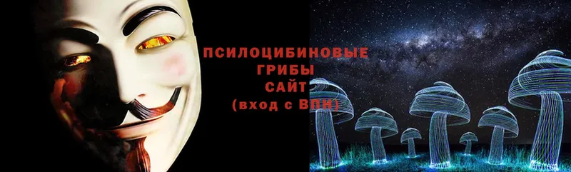 Галлюциногенные грибы Cubensis  Дятьково 